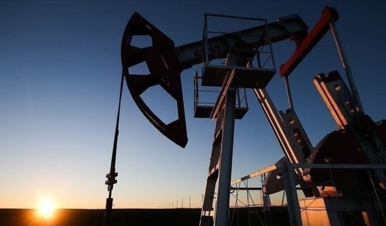 Türkiye’nin petrol ithalatı şubatta yüzde 0,1 azaldı